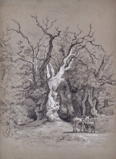 Landscape with Tree by Edward Pretty