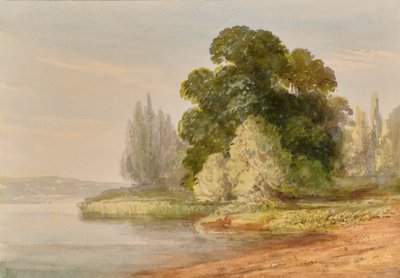Landscape with trees by Edward Pretty