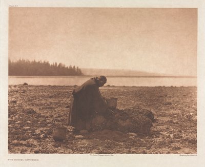 The Mussel Gatherer by Edward S. Curtis