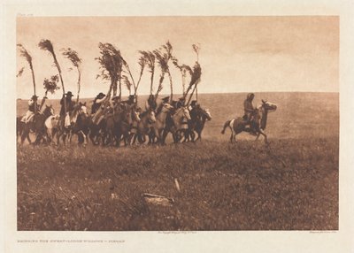 Portfolio VI, Plate 205: Bringing the Sweat-Lodge Willows - Piegan by Edward S. Curtis