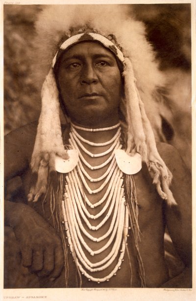 Upshaw of the Apsaroke Tribe by Edward Sheriff (after) Curtis