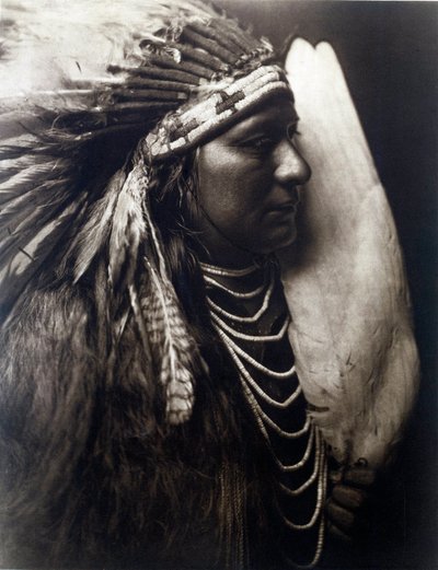 American Indians: Portrait of an Indian of the Perce Nose Tribe by Edward Sheriff Curtis