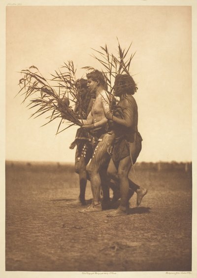Arikara Medicine Ceremony - the Ducks, 1908 by Edward Sheriff Curtis