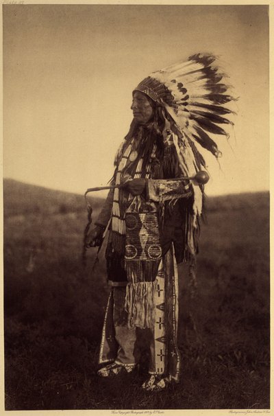 Hight Hawk. Warrior