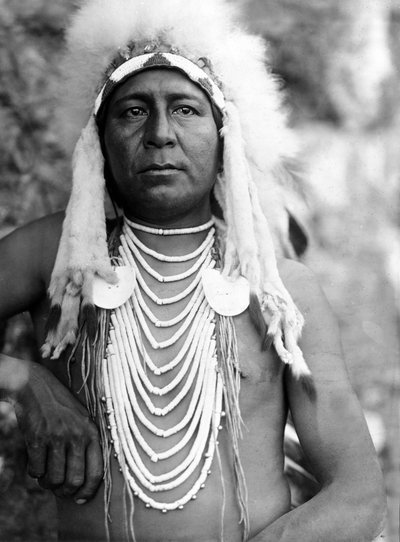 Upshaw, Apsaroke (Crow), photo Edward S. Curtis by Edward Sheriff Curtis