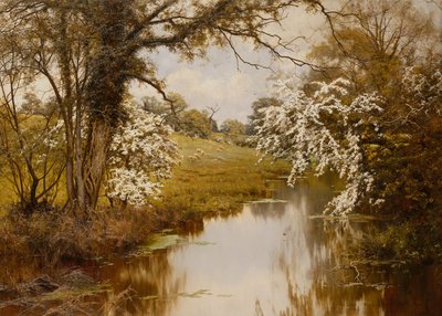 Where Spreading Hawthorns Gaily Bloom by Edward Wilkins Waite