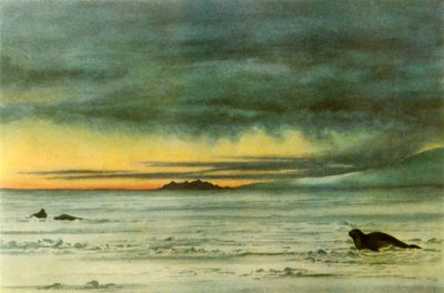 Looking North in McMurdo Sound by Edward Wilson