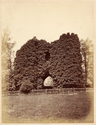 View of a Folly in Roundhay Park by Edward Wormald