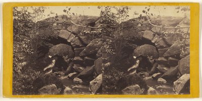 Central Park. Rustic Stone Bridge, Carrying the Drive over the Walk and Brook, North End of the Park by Edward and Henry T. Anthony and Co.