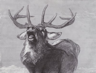 A Challenge by Edwin (after) Landseer