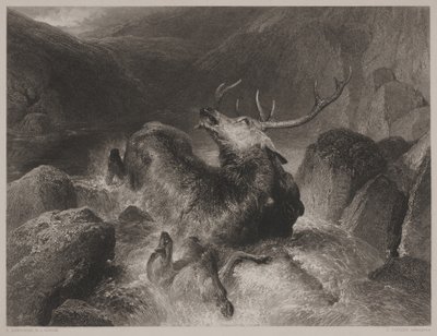 Death of the Stag, engraved by John Cousen by Edwin (after) Landseer