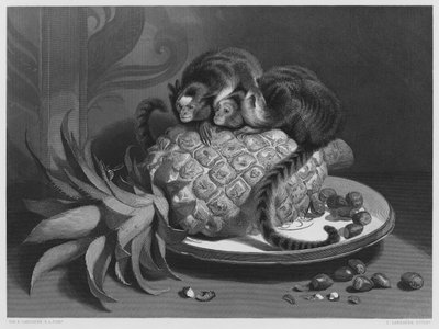 The Marmozettes, from the picture in the Royal Collection by Edwin (after) Landseer