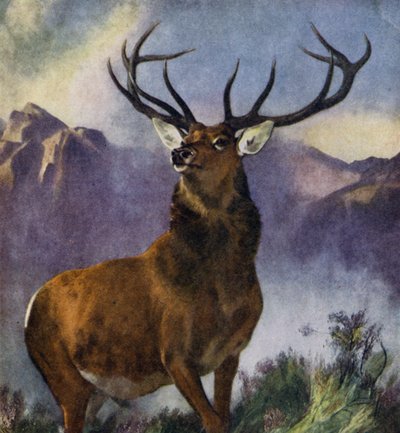 The Monarch of the Glen by Edwin (after) Landseer