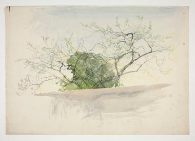 Landscape with Trees by Edwin Austin Abbey
