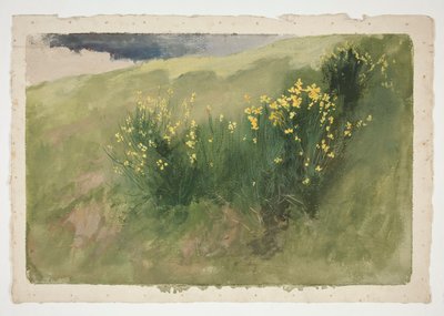 Landscape with Wildflowers by Edwin Austin Abbey