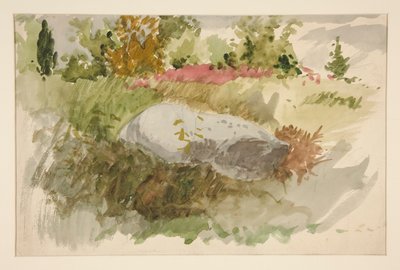Rocks and Shrubs by Edwin Austin Abbey