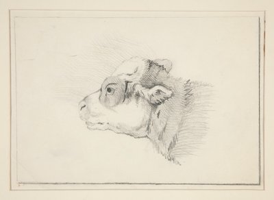 Sketch of a Sheep by Edwin Austin Abbey