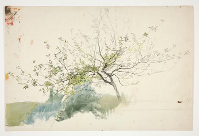 Sketch of a Tree by Edwin Austin Abbey