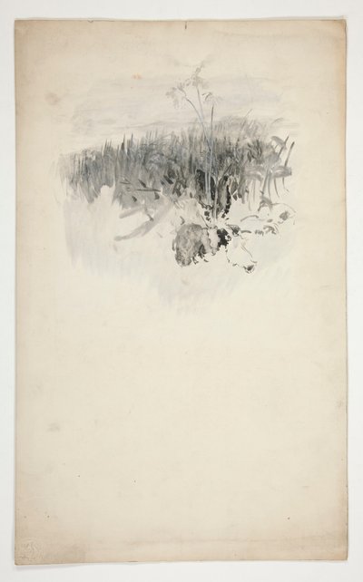 Sketch of a Young Tree, a Field by Edwin Austin Abbey