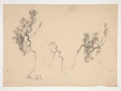 Sketches of branches by Edwin Austin Abbey