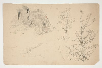 Sketches of Trees by Edwin Austin Abbey