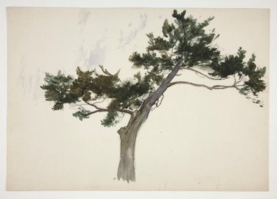 Study of a Tree by Edwin Austin Abbey