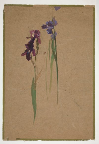 Study of Irises by Edwin Austin Abbey