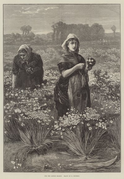 For the London Market (engraving) by Edwin Buckman