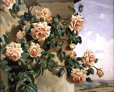 Roses on a Wall by Edwin Byatt