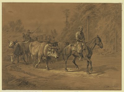 The Leader of the Herd by Edwin Forbes