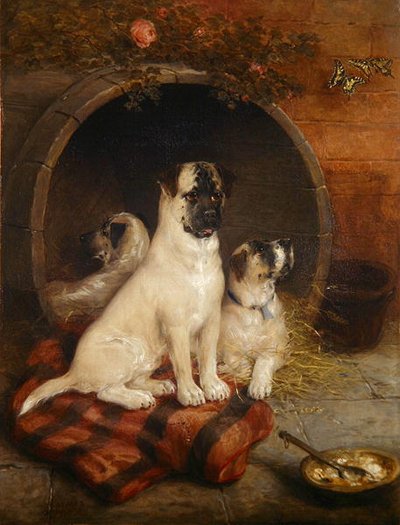 Live and Learn by Edwin Frederick Holt