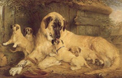 One Touch of Nature Maketh the Whole World Kin by Edwin Frederick Holt