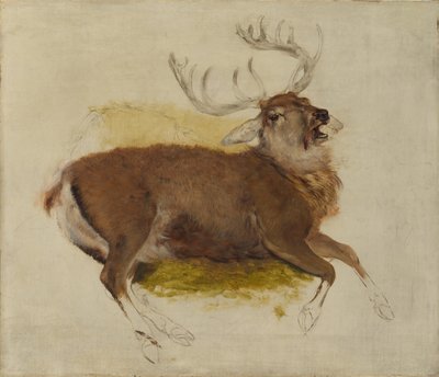 Dying Stag by Edwin Landseer