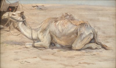 Camel at the Artists Camp with Bedouins by Edwin John Alexander