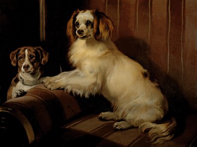 Bon(e)y and Var, c.1843 by Edwin Landseer