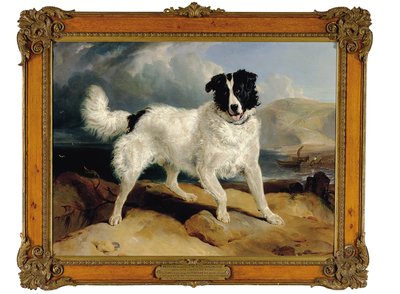 Neptune, the Property of William Ellis Gosling, Esq. by Edwin Landseer