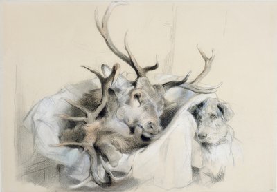 Stags