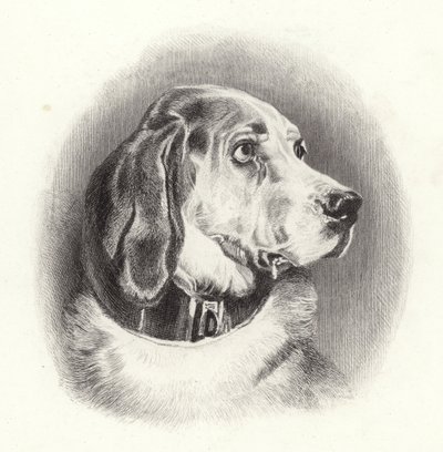 The Bloodhound by Edwin Landseer
