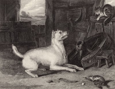 The Intruder by Edwin Landseer