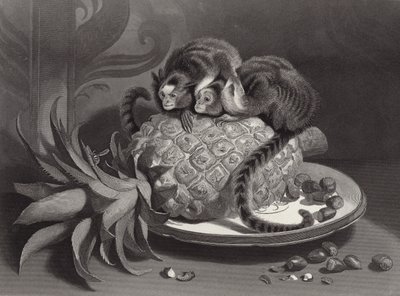 The Marmozettes by Edwin Landseer