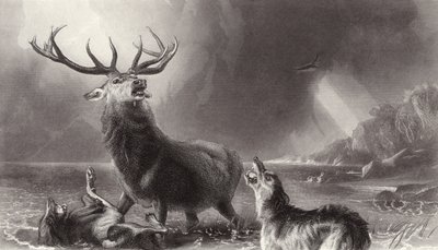 The Stag at Bay by Edwin Landseer