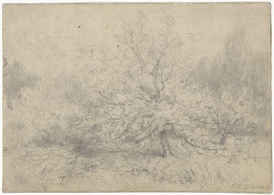 Landscape with a Tree Prominently in the Middle by Egbert Rubertus Derk Schaap