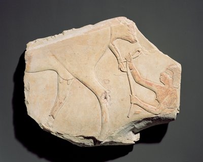Fragment of a Relief Depicting the Birth of a Calf, from Asasif, Thebes by Egyptian