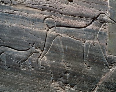 Couple of Dogs, Relief from Entrance, Tomb of Sarenput II, Tombs of Princes, Qubbet el-Hawa, West Bank of Nile at Aswan, Egyptian Civilisation, Middle Kingdom, Dynasty XII by Egyptian 12th Dynasty