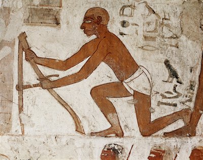 A craftsman taking measurements for the construction of a wall (detail of the fresco decorating the tomb of Rekhmire, governor of Thebes and vizier during the reign of Pharaohs Thutmes III and Amenophis II, 18th dynasty 1500 to 1292 BC) by Egyptian 18th Dynasty