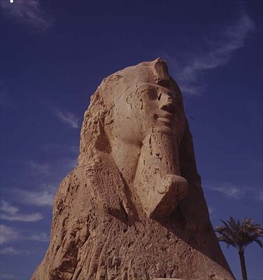 Alabaster Sphinx, probably from the reign of Amenhotep II by Egyptian 18th Dynasty