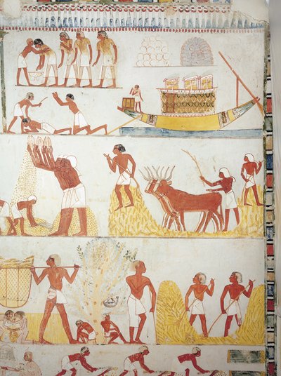Boat and Scenes of Harvest (detail) by Egyptian 18th Dynasty