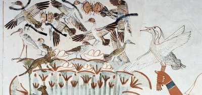 Ducks, nests, butterflies, cats and rodents, (detail) from the scene of hunting and fishing in the marshes, fresco, north wall, longitudinal chamber, Theban Tomb TT69, Sheikh Abd el-Qurna, Thebes. Egyptian civilization, New Kingdom, Dynasty XVIII by Egyptian 18th Dynasty