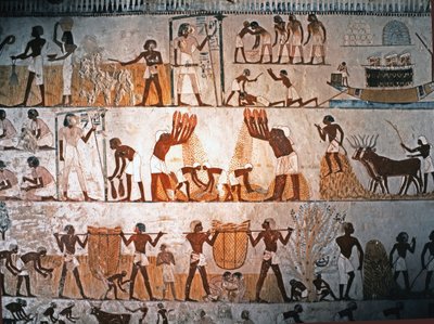 Harvesting Scene, Mural Painting in the Tomb of Menna at Elwet, c. 1400 BC by Egyptian 18th Dynasty