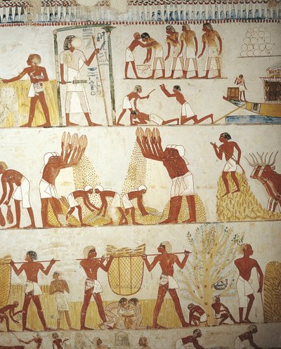 Tomb of Royal Estate Supervisor Menna, Vestibule, Mural Paintings, Working in Fields by Egyptian 18th Dynasty